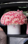 The Grand Blush – 300 Pink Roses