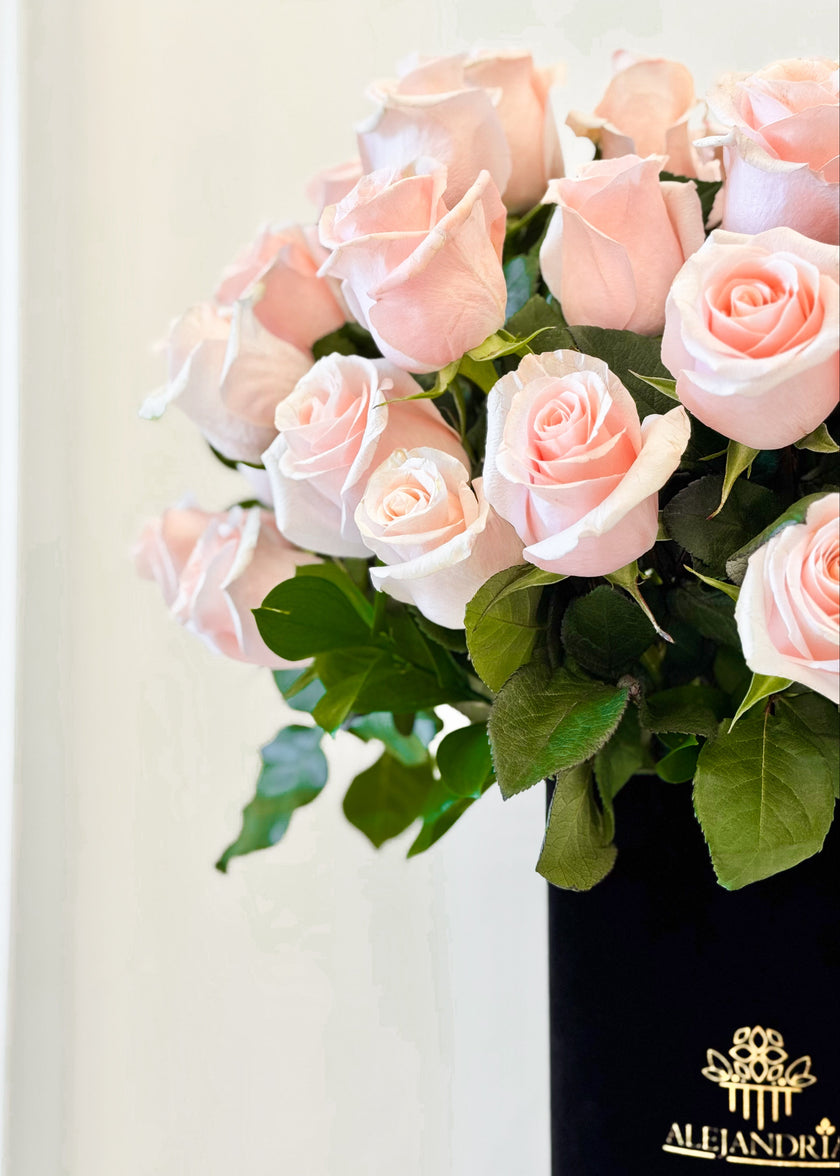 Blush Velvet — Prestige Flower Box
