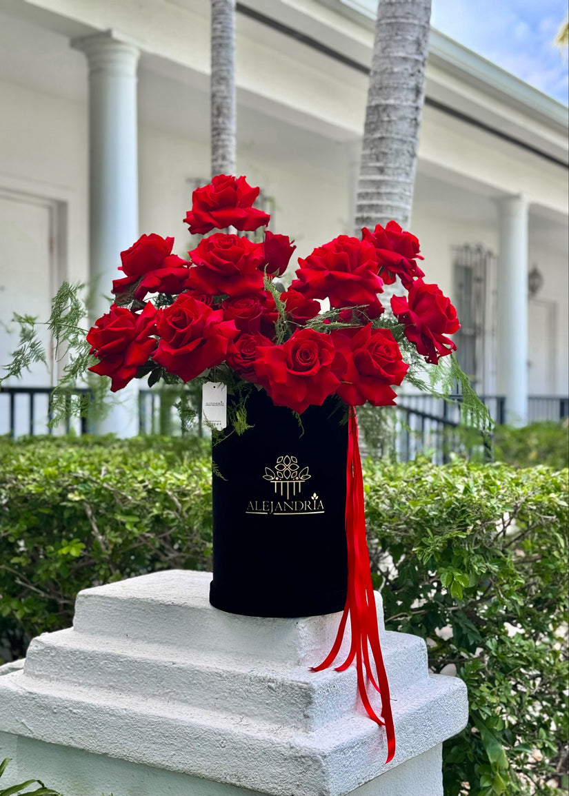 Rouge Roses — 15 Roses Box