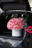 The Grand Blush – 300 Pink Roses