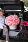 The Grand Blush – 300 Pink Roses