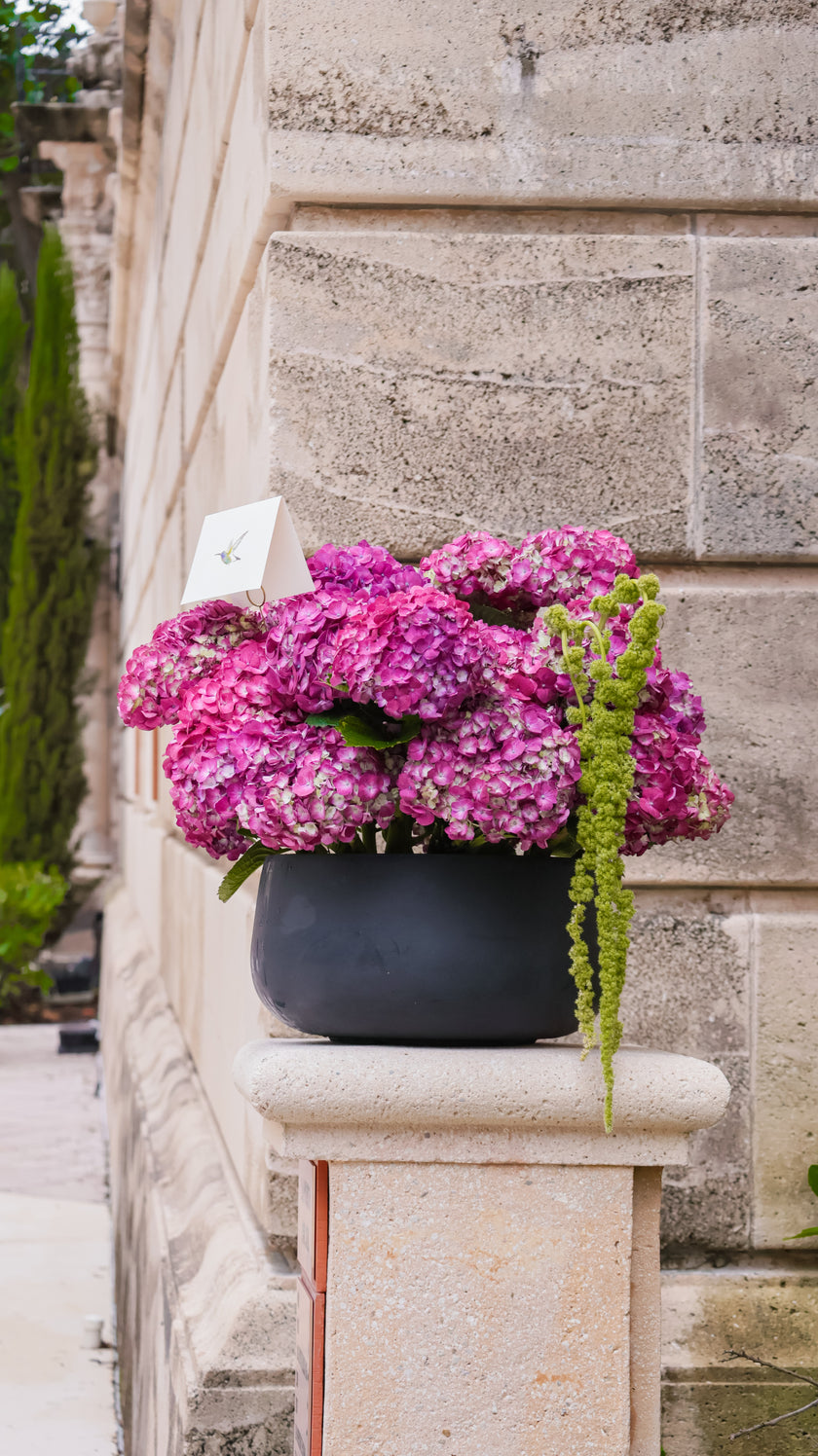 Majesty Grandeur Bowl – Luxury Hydrangea Arrangement