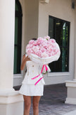 Pink Cloud — Hand-Opened Roses