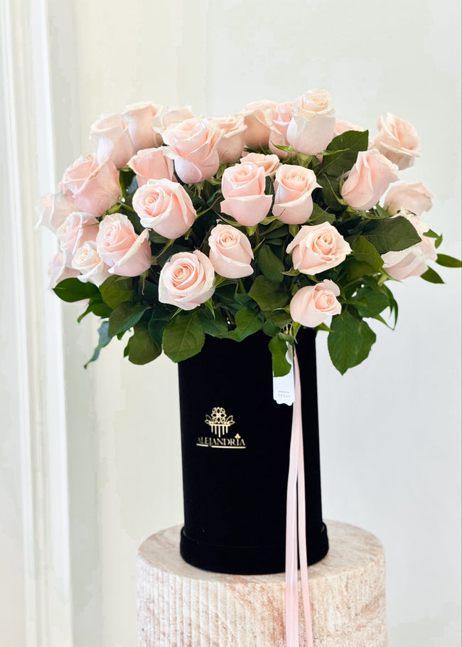 Blush Velvet — 30-35 Pink Roses Box