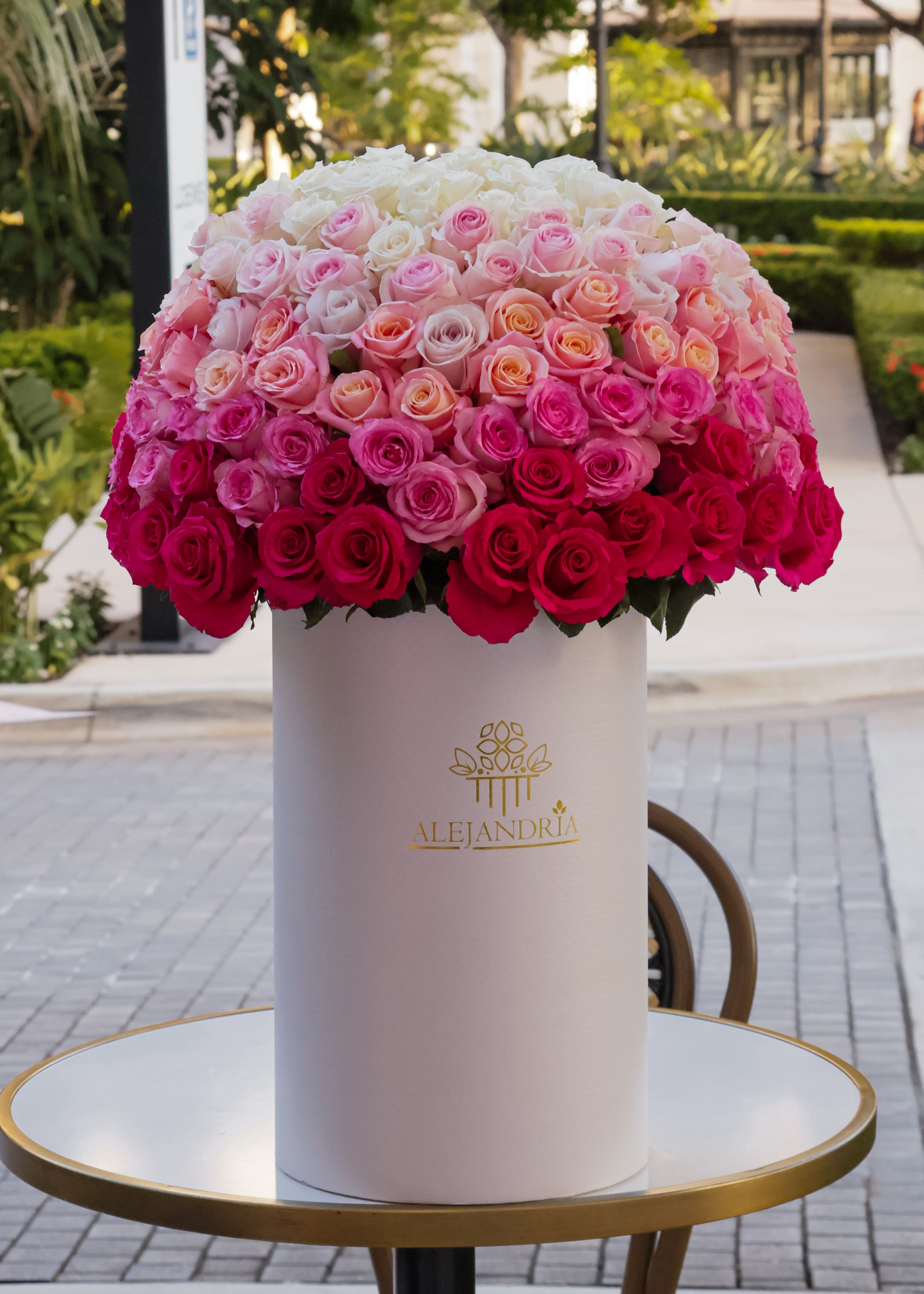 Imperial Rose Masterpiece – Stunning Pink Gradient – ALEJANDRIA