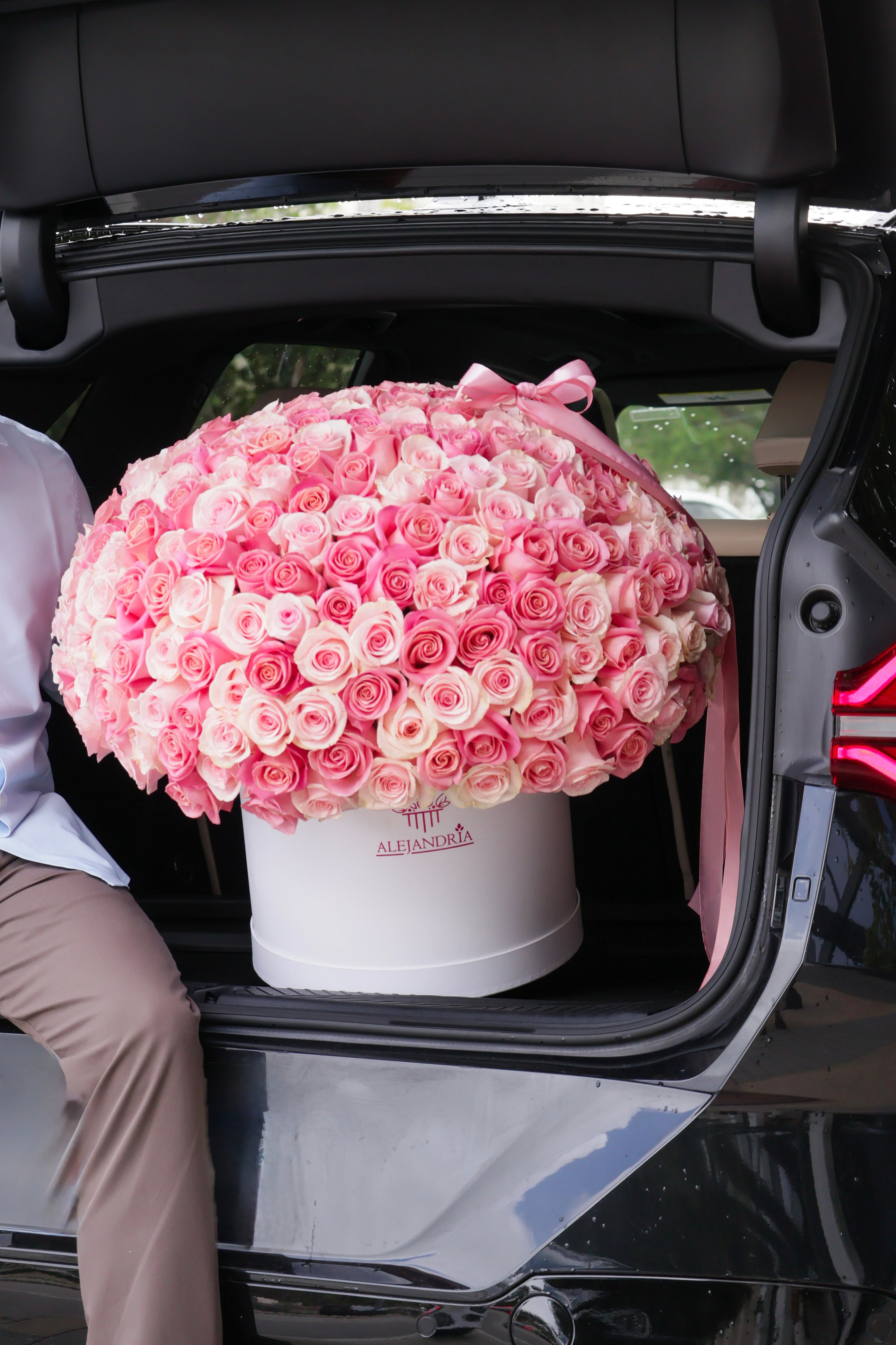 The Grand Blush – 300 Pink Roses