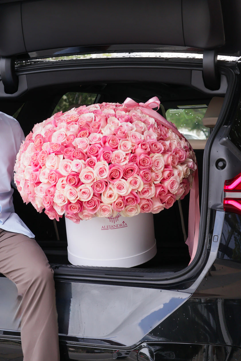 The Grand Blush – 300 Pink Roses