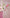 Blush Majesty – Luxury Garden in Bloom