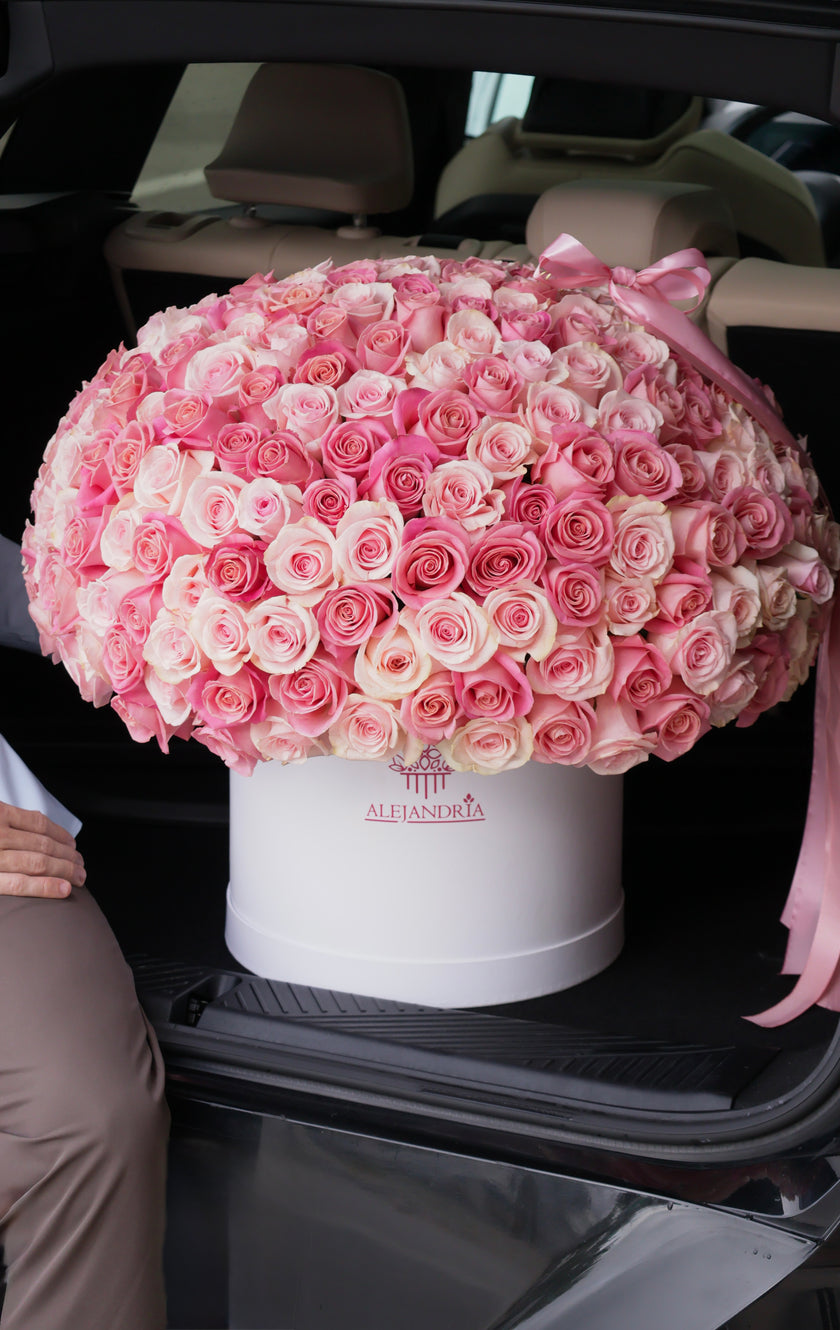 The Grand Blush – 300 Pink Roses