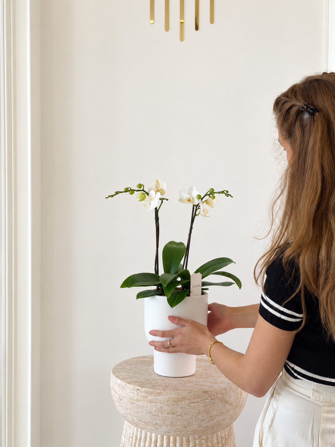 Orchid Élégance – Luxury White Orchid Arrangement