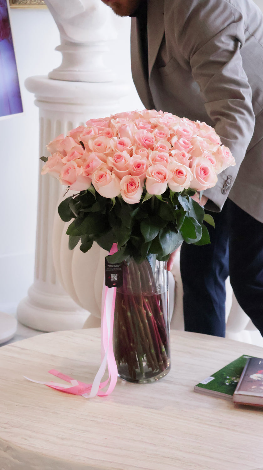 Red Reverence – Long-Stem Rose Collection