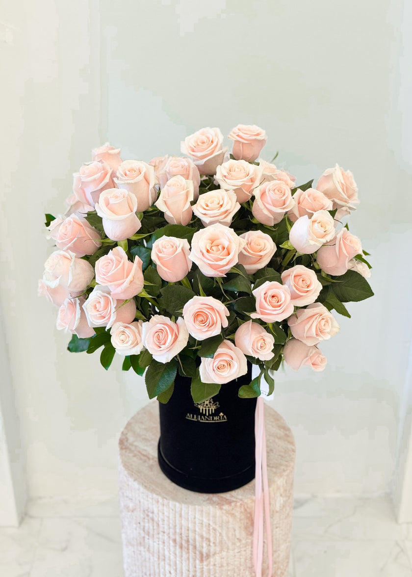 Blush Velvet — Prestige Flower Box