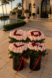 Luxury Rose Letter Box