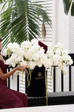 Victoria White Majesty