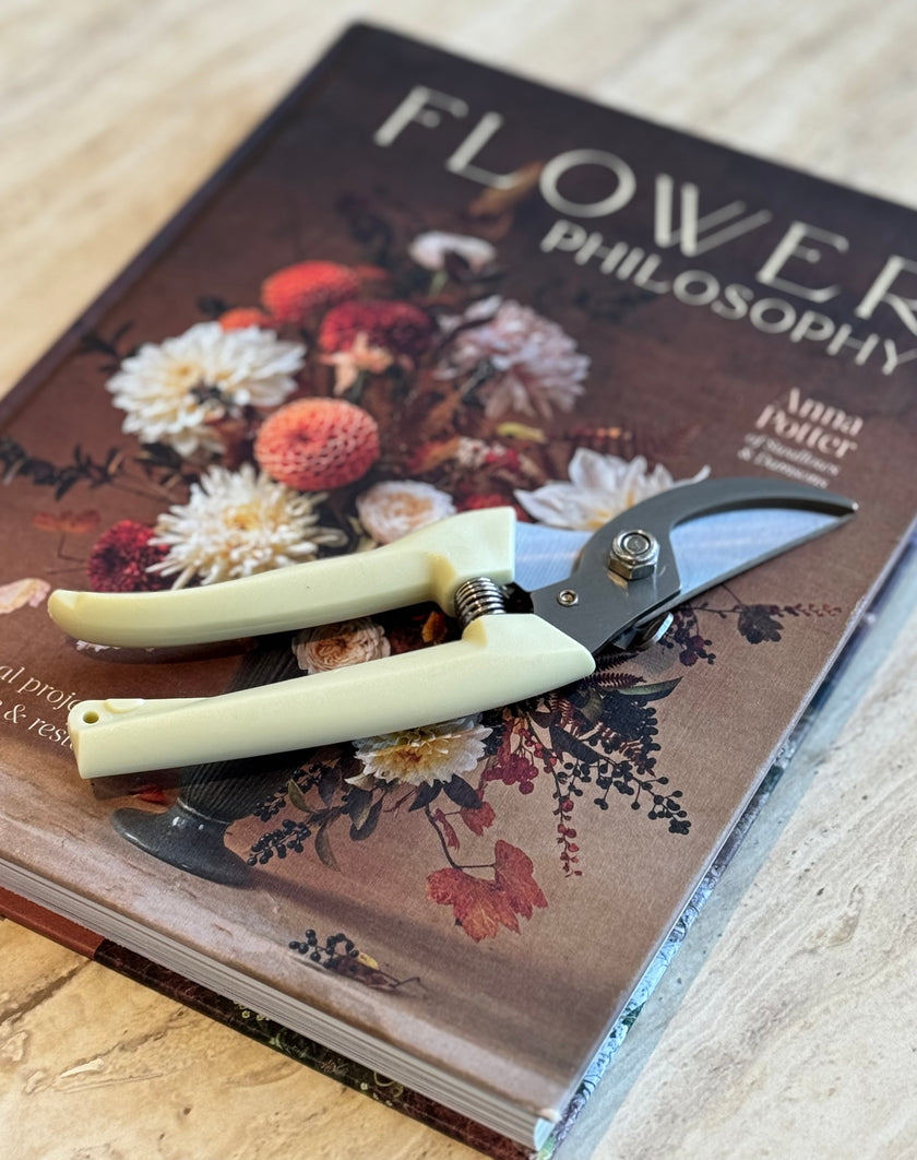 Stainless Steel Scissors