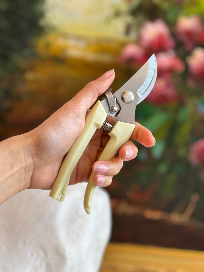 Stainless Steel Scissors