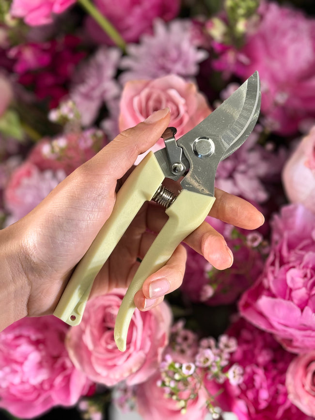 Stainless Steel Scissors