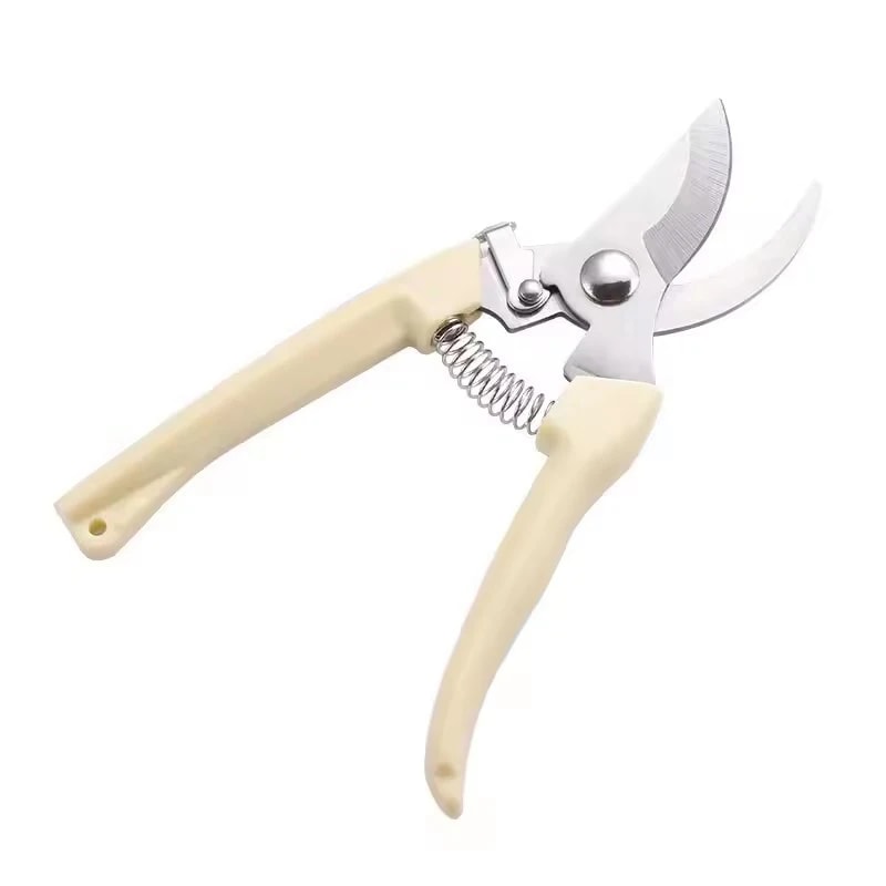 Stainless Steel Scissors